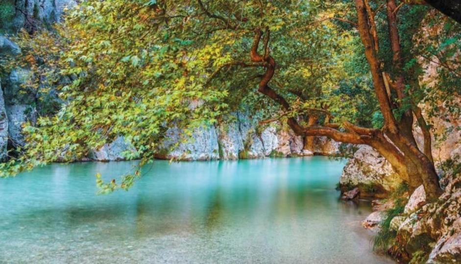 Villa Elli Choika Εξωτερικό φωτογραφία